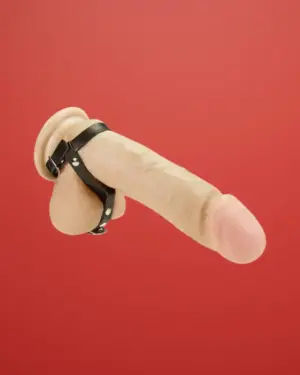 Bondage Play - Csatos péniszhám