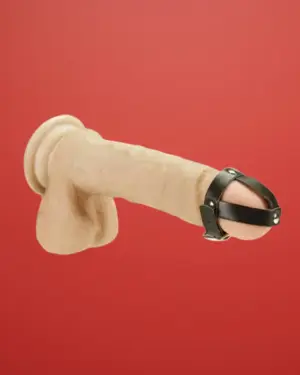 Bondage Play - Péniszheveder