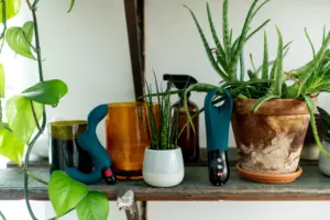 Duke Prostate Vibrator-Prosztata vibrátor - Image 7