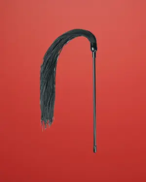 Easytoys - Szilikon ostor (fekete)