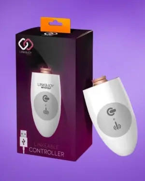 Link&Joy Controller Usb - Vezérlő, cserélhető fejekhez