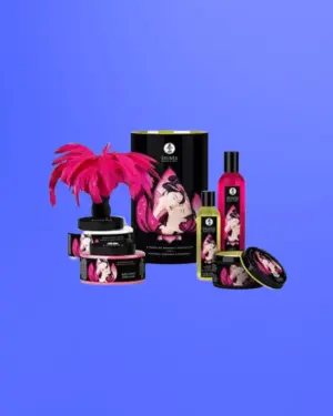 Shunga Kit Touch Of Romance - Vágykeltő kozmetikum készlet