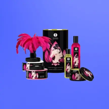 Shunga Kit Touch Of Romance - Vágykeltő kozmetikum készlet