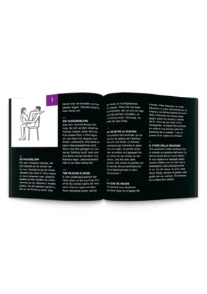 Sex Roulette Kama Sutra - Szex társasjáték (10 nyelven) - Image 3