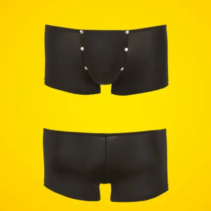 Svenjoyment - Patentos boxer