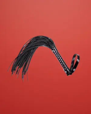 Fetish Addict - Korbács magasfényű markolattal (fekete)