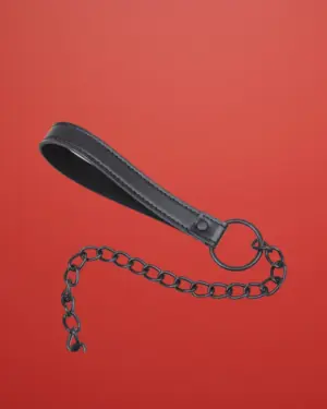 Fetish Addict - Nyakörv pórázzal (fekete)