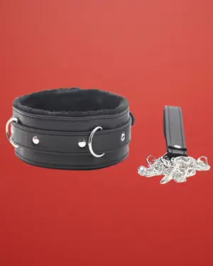 Fetish Addict - Nyakörv pórázzal (fekete)