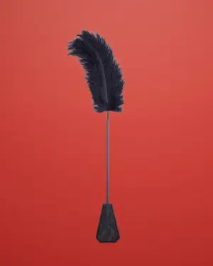 Fetish Addict - Csipkés pálca cirógatóval (fekete)