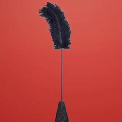 Fetish Addict - Csipkés pálca cirógatóval (fekete)