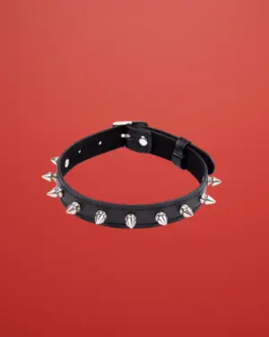 Fetish Addict - Állítható tüskés nyakörv