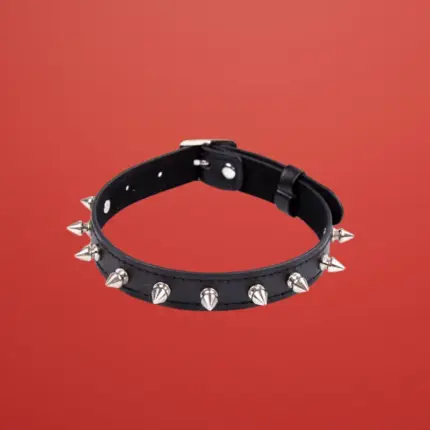 Fetish Addict - Állítható tüskés nyakörv