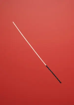 Fetish Addict - Vesszőző pálca