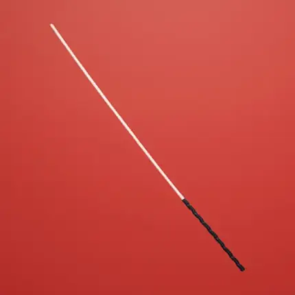 Fetish Addict - Vesszőző pálca