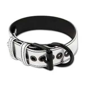 Lovetoy - Nyakörv pórázzal (ezüst) - Image 4