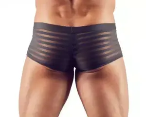 Svenjoyment - Csíkos áttetsző boxer L - Image 3