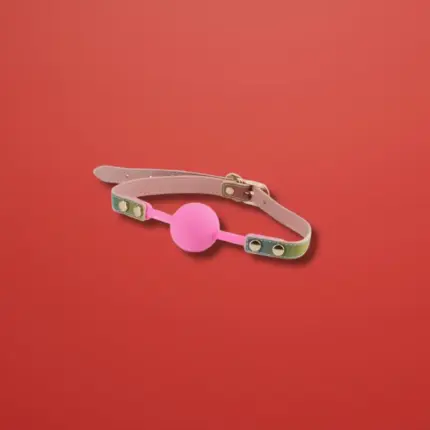 Spectra Bondage - Szivárványos szájpecek