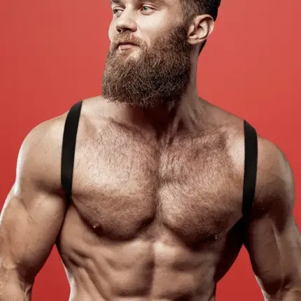 Fetish Submissive - Férfi hám (fekete)