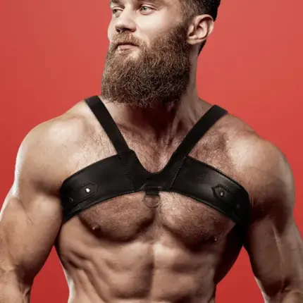 Fetish - Férfi hám (fekete)