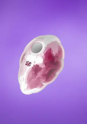 Satisfyer Cloud Dancer - Akkus léghullámos csiklóizgató (pink-fehér)