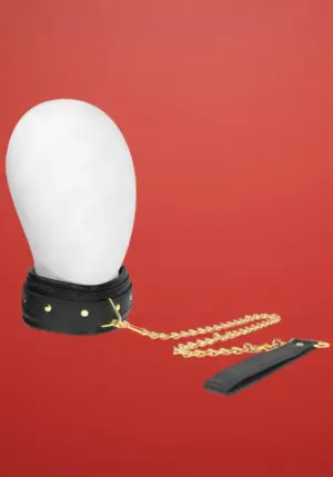 Kink - Párnázott nyakörv aranyszínű pórázzal