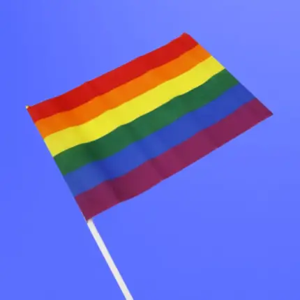 Pride - Zászló (közepes)