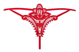 Obsessive Luiza - Egyedi, hímzett tanga - Image 3